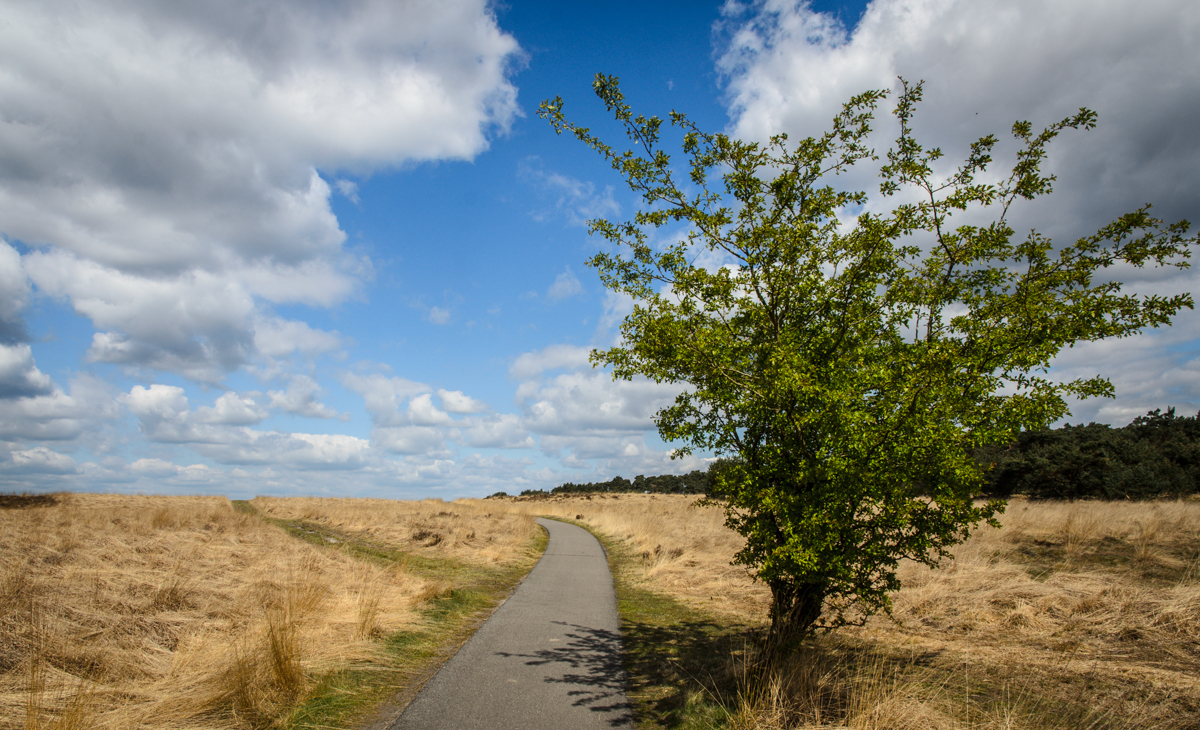 Nationaal Park De Hoge Veluwe Ede