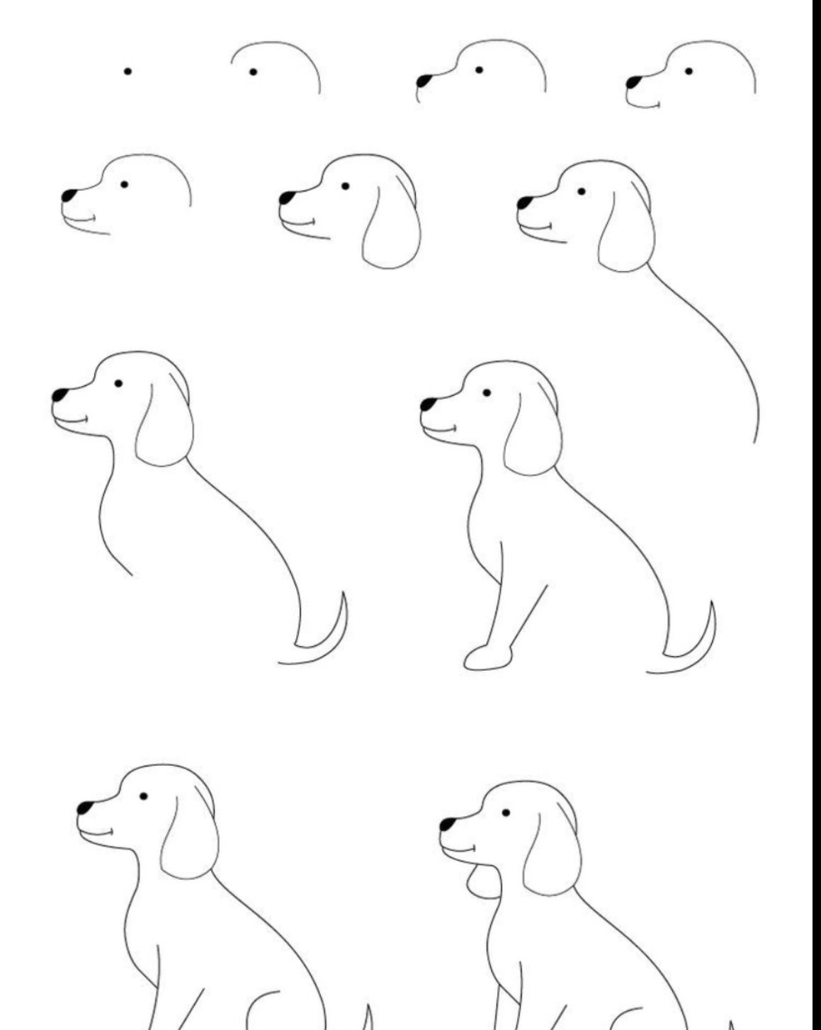 Hond tekenen in stappen. | Dog drawing simple, Easy drawings, Art - Dieren Tekenen Stap Voor Stap