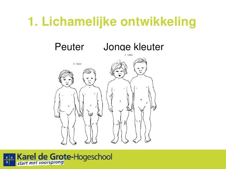 Hoofdstuk 4 de peuter pbko - Lichamelijke Ontwikkeling Van Een Peuter