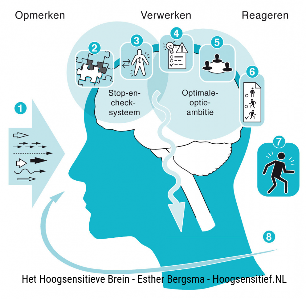 Focale Aanval Met Intacte Gewaarwording