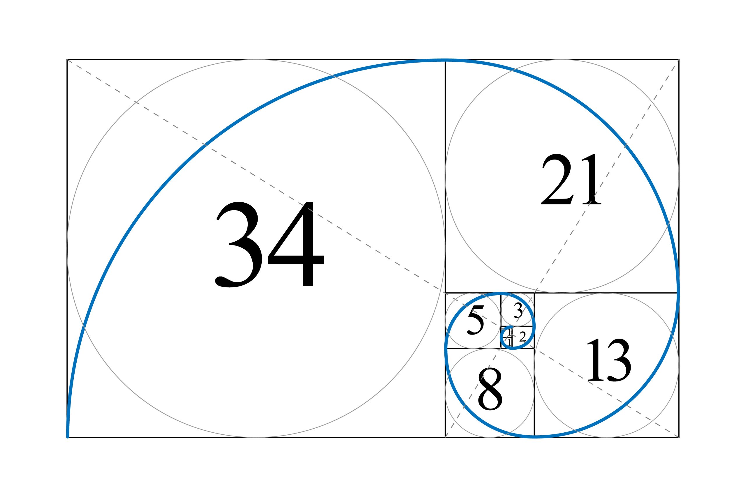 Horizontale deelnaden berekend met de gulden snede formule - Oog voor - Wat Is De Gulden Snede