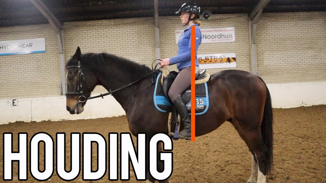 HOUDING EN ZIT OP JE PAARD | PAARDRIJDEN MET PLEZIER - YouTube - Voor Hoeveel Studies Mag Je Je Inschrijven