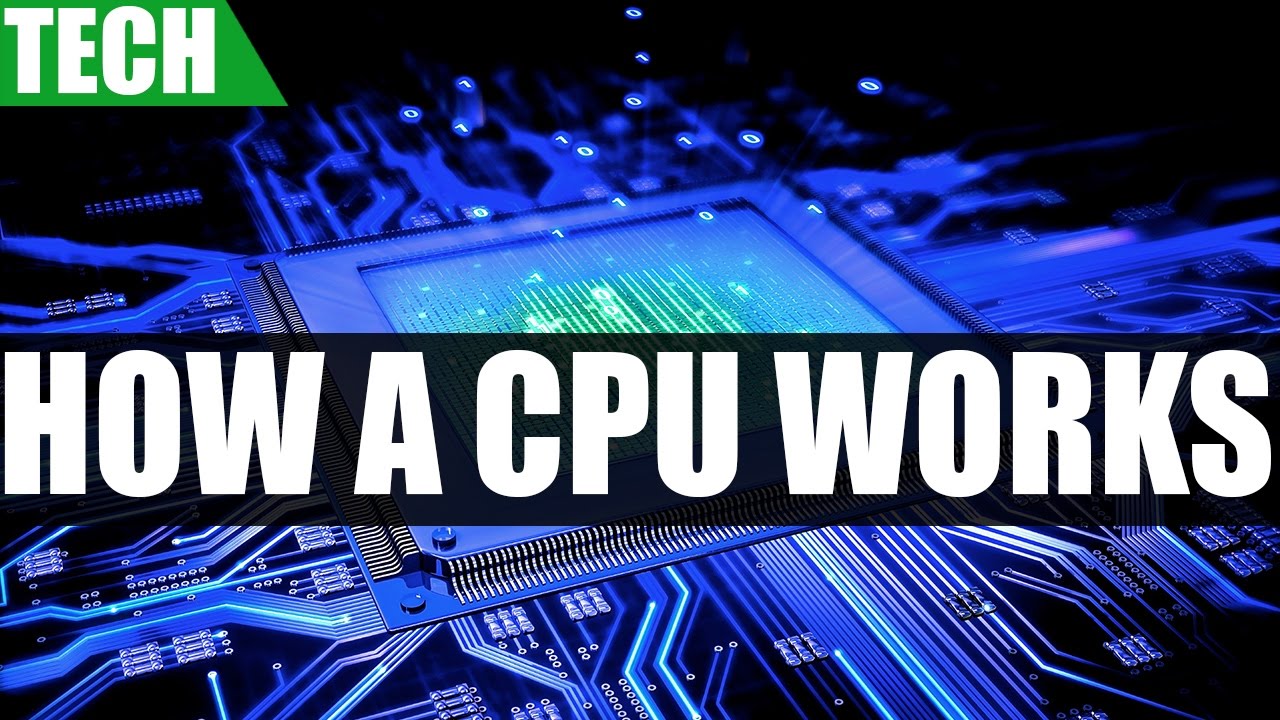 How A CPU Works | A Basic Guide On Processor Stages & Functionality - Hoe Werkt De Cpu Samen Met Het Geheugen