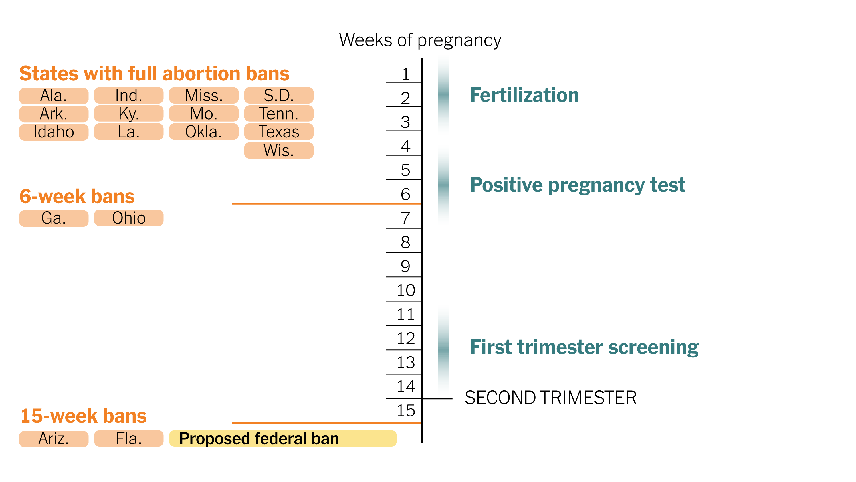 Hoe Vaak Komt Missed Abortion Voor
