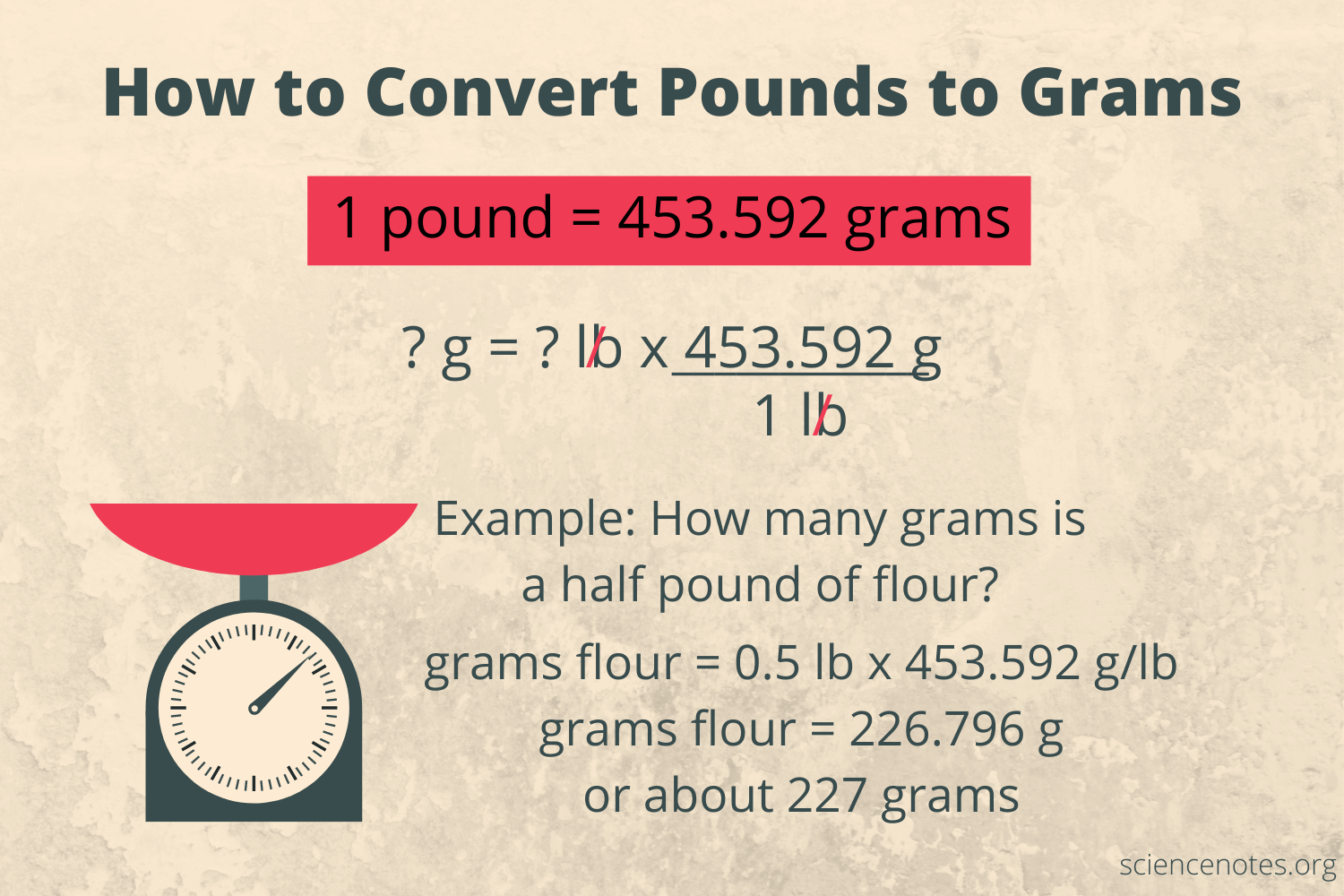 How Many Grams In A Pound (Free Printable Chart) Food Lovin, 59% OFF - Hoeveel Is 1 Pond In Gram