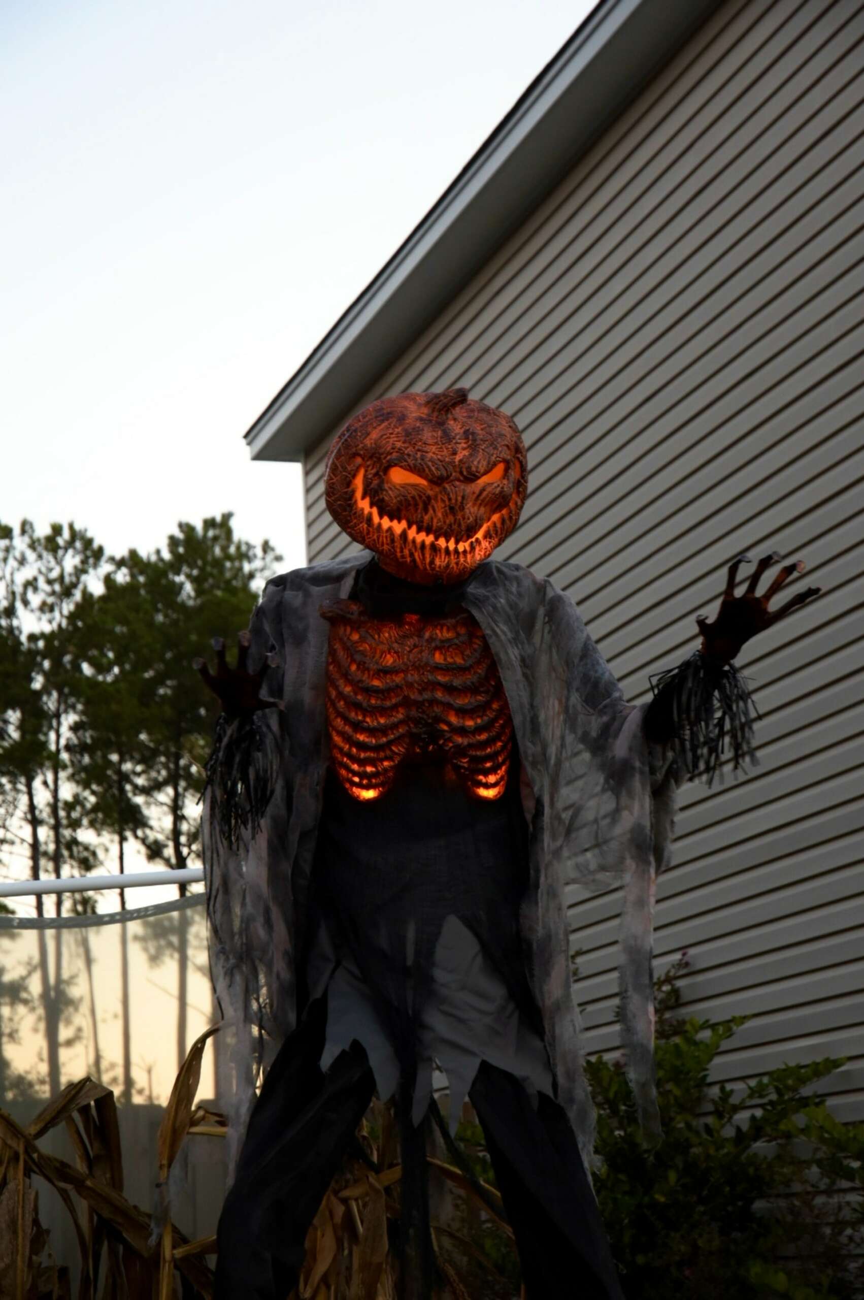 How Many Months Till Halloween 2025 - Clemente Lavoie - Over Hoeveel Dagen Is Het Halloween