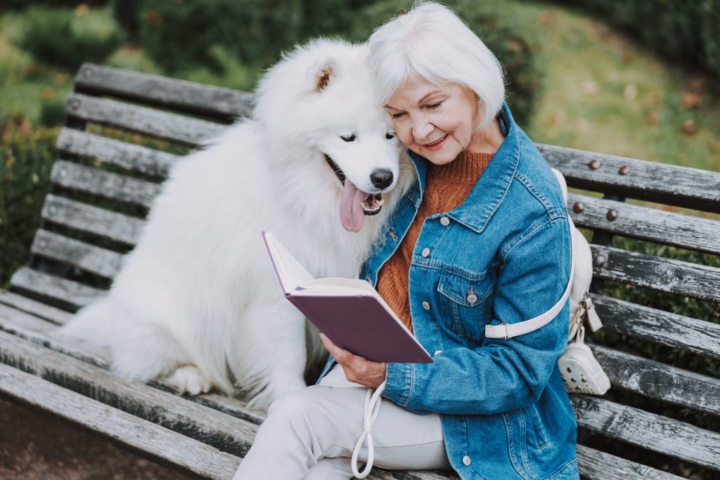 How old do dogs get? - Avonturia - Hoe Oud Wordt Een Gorilla Gemiddeld