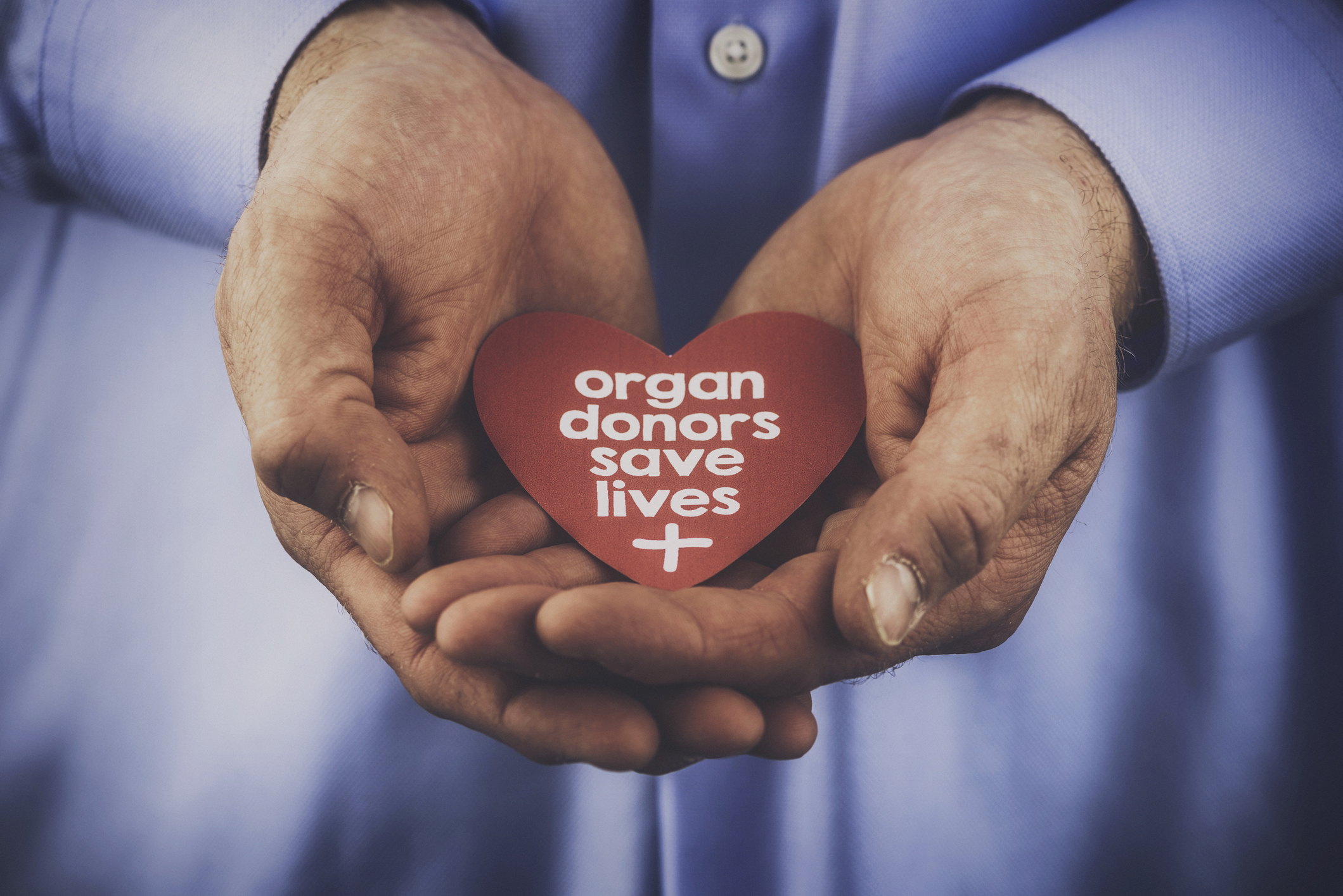 How To Become A Doner - Soupcrazy1 - Donor Worden Voor En Nadelen