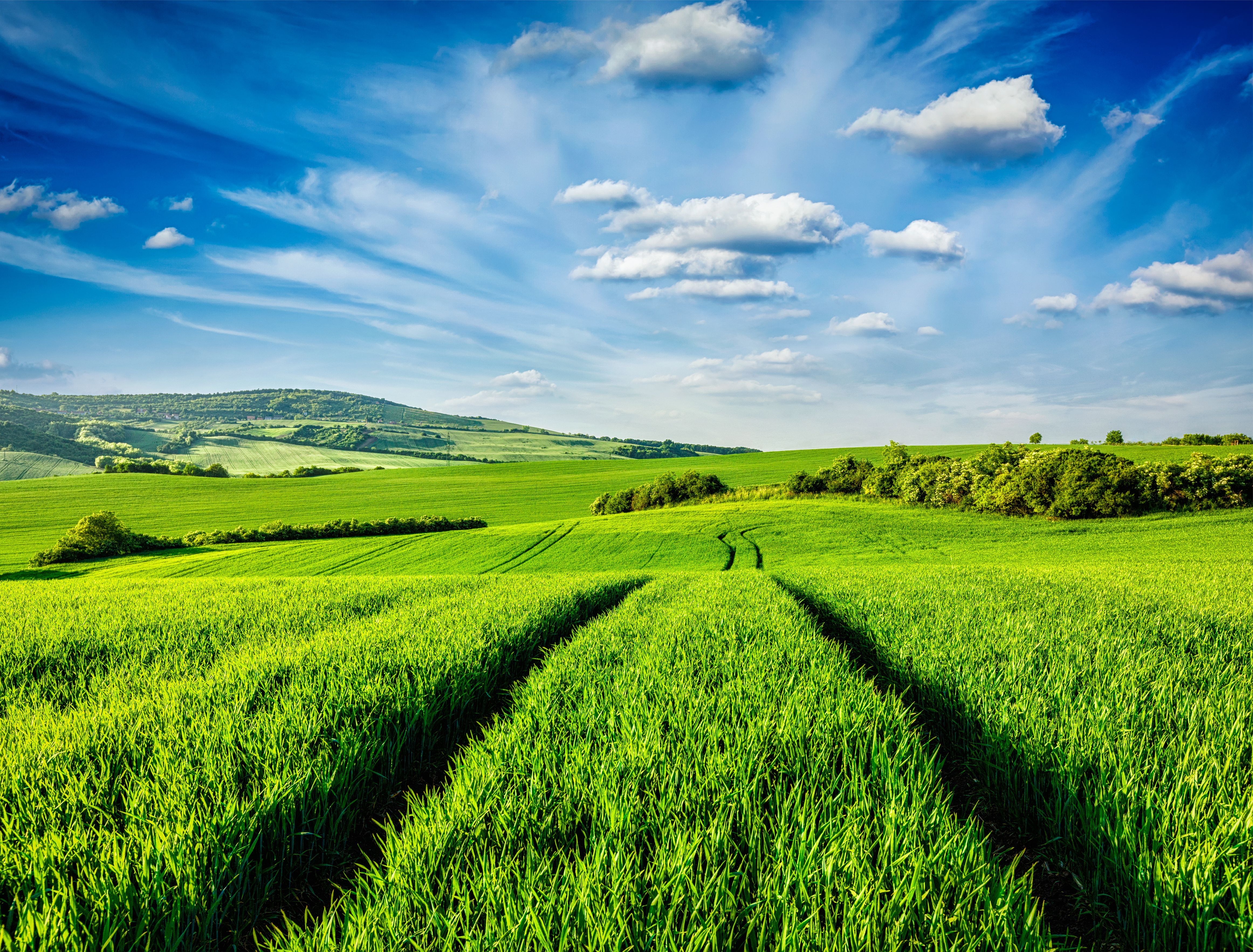 How to buy land to build your dream home | Fine & Country - Land Van Jan Klaassen In Braamt