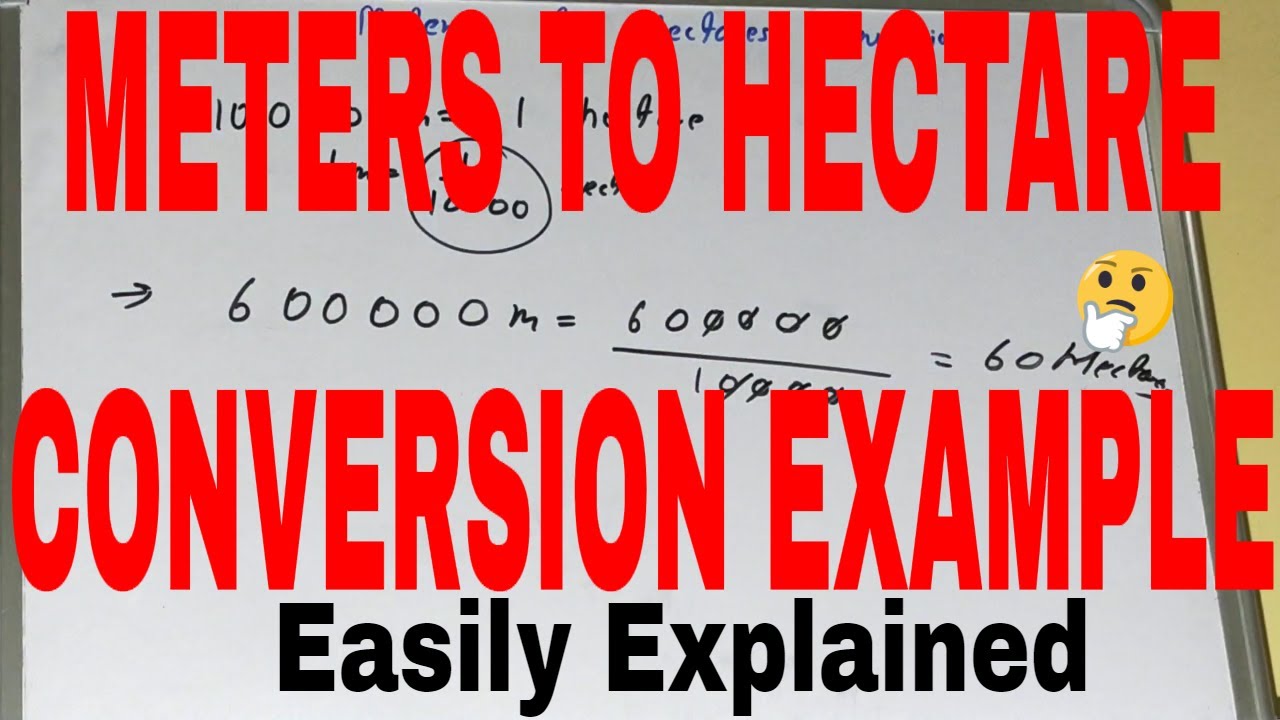How to convert meter to hectare|Meter to hectare conversion formula - Hoeveel Is 1 Hectare In Meters