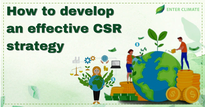 Csr Strategy And Strategic Csr