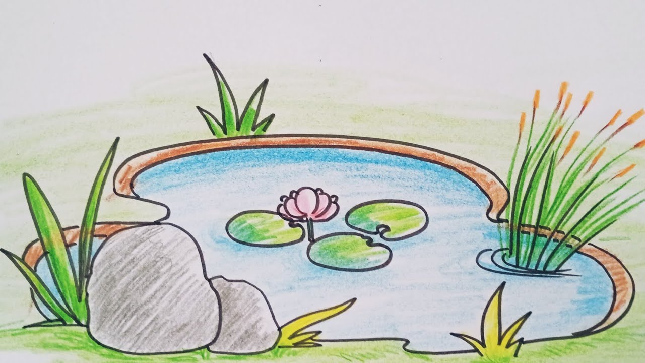 How to draw Pond | Easy water pond drawing and colouring tutorial # - Wat Is Een Pond In Gram