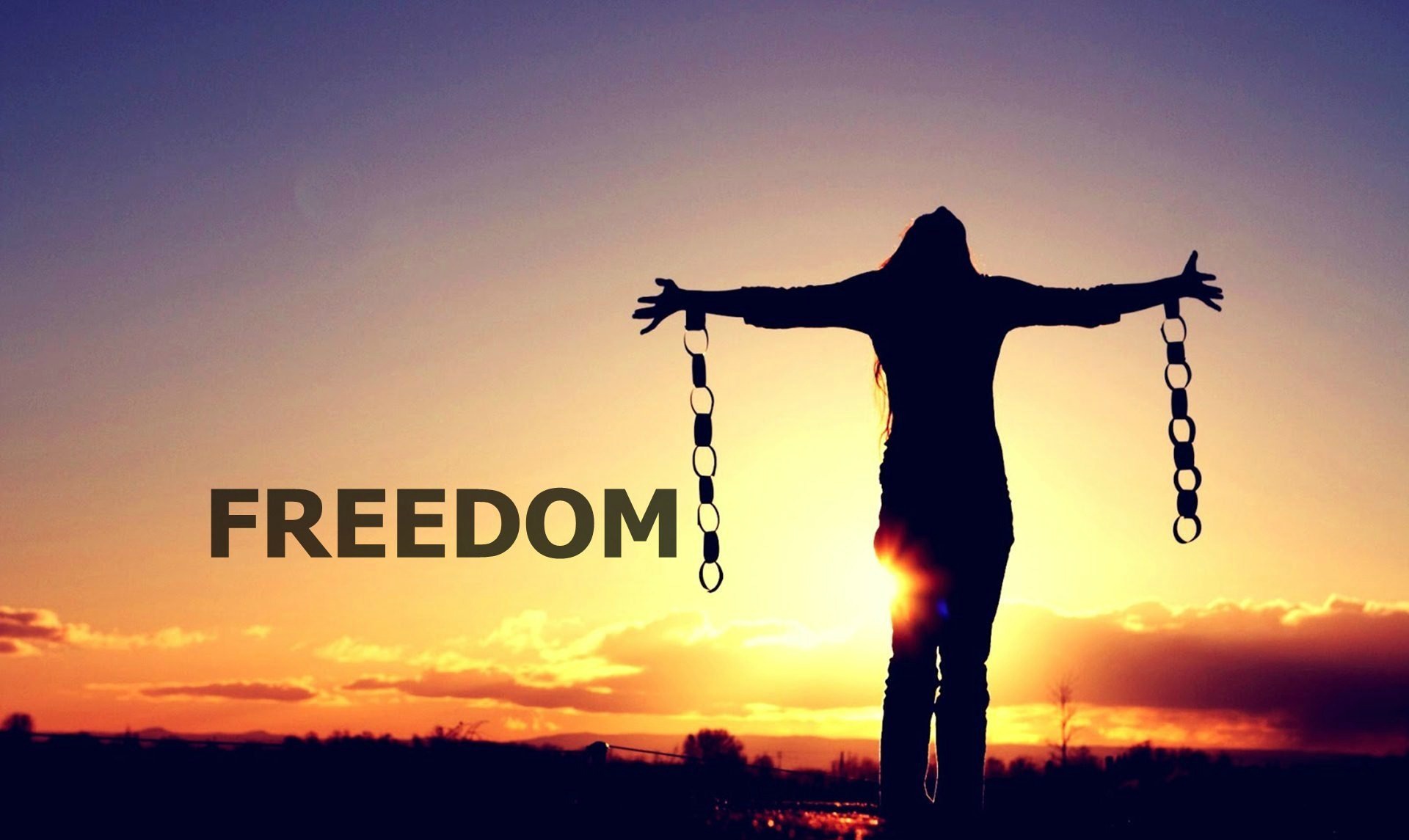 How To Live In Freedom - Life Palette - Freedom Writers Waar Te Zien