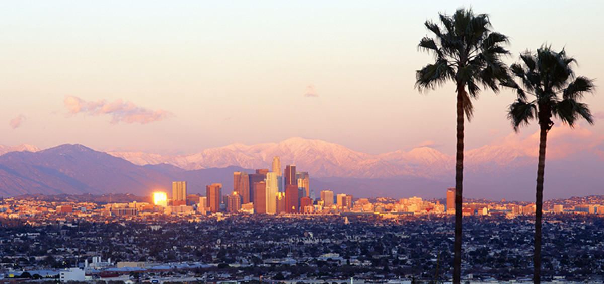 How to Start Your Career in L.A. - La Lengua De Las Mariposas