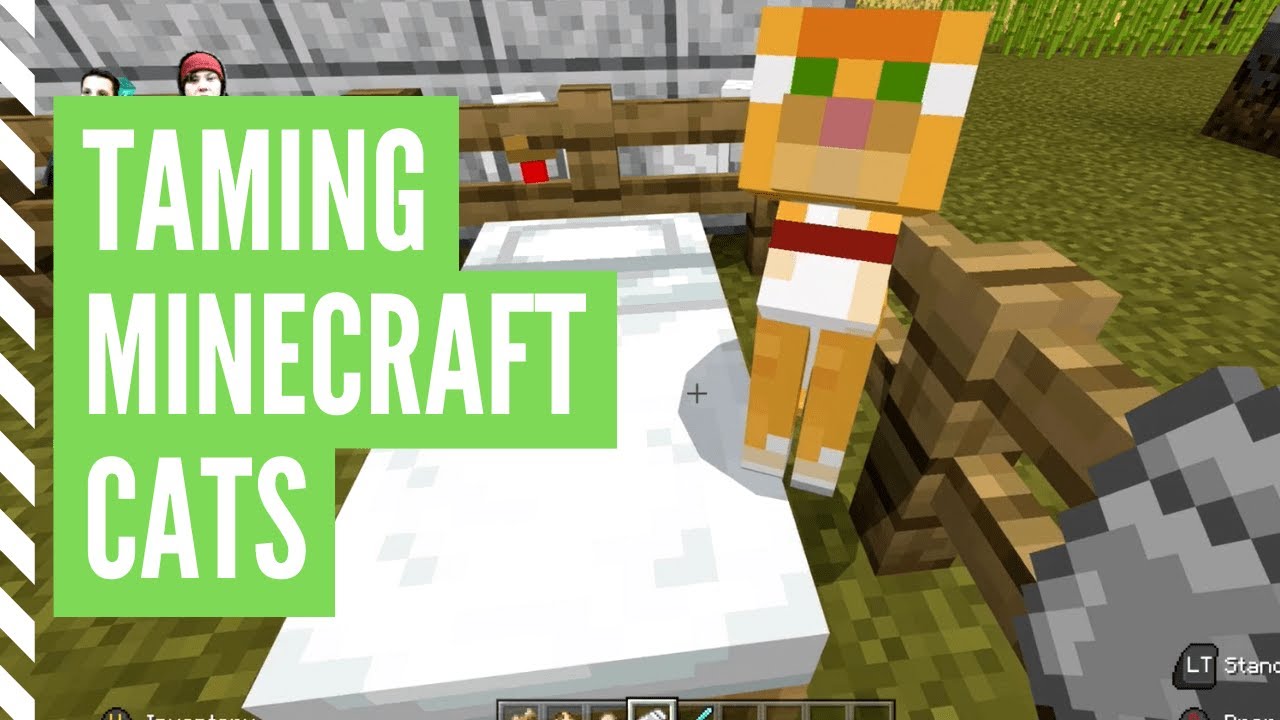 How To TAME A CAT In Minecraft - YouTube - How To Tame A Cat In Minecraft