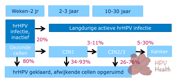 Hoe Loop Je Hpv Op