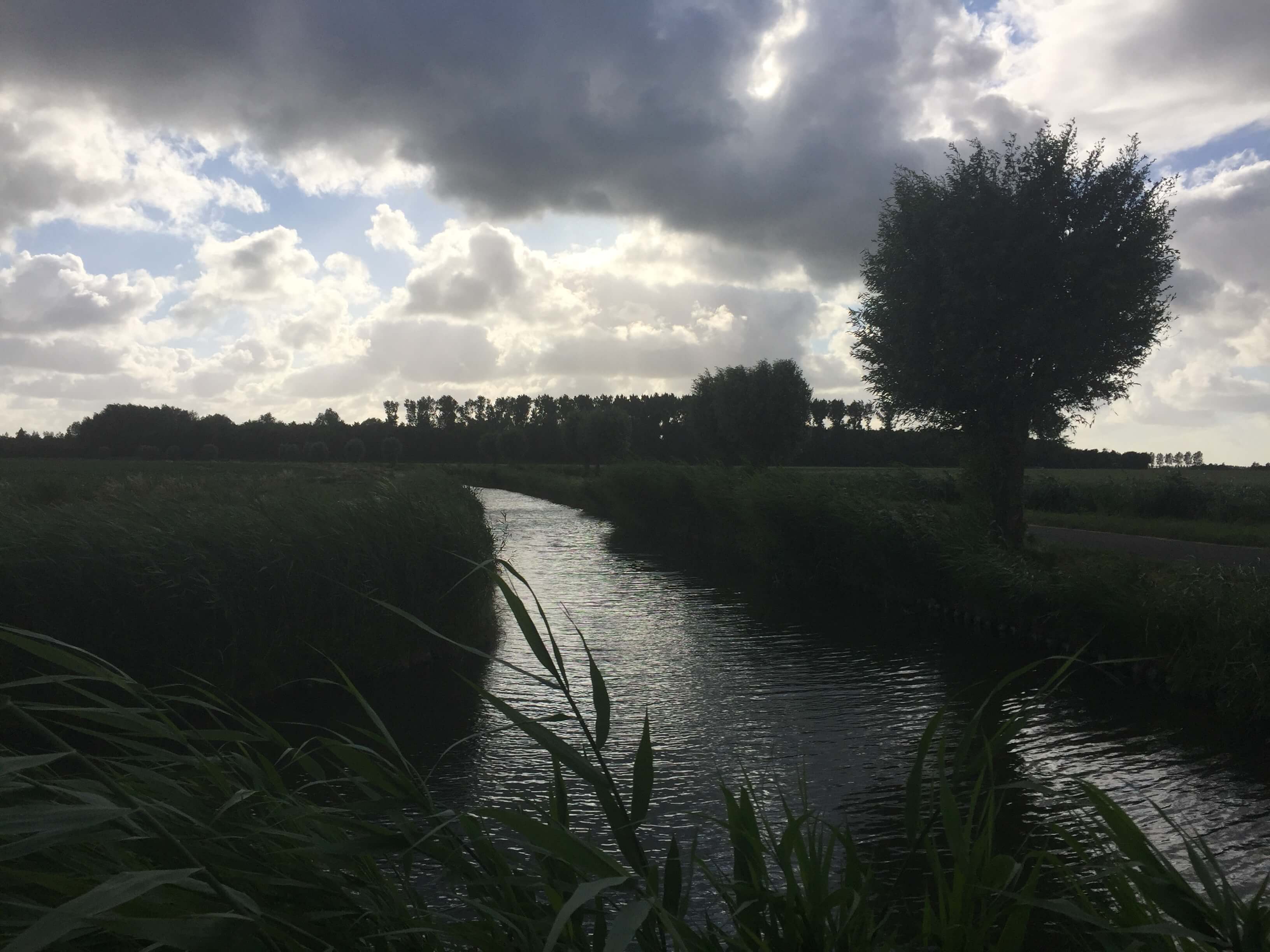 Huisarts Joost van de Putte - Huisarts Stad Aan T Haringvliet