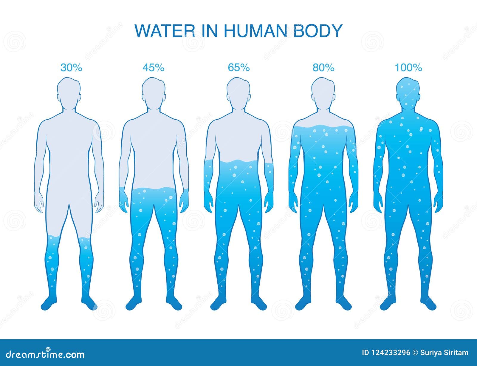 Hoeveel Bestaat Een Mens Uit Water