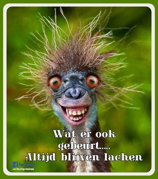 Waar Of Niet Waar Vragen Grappig