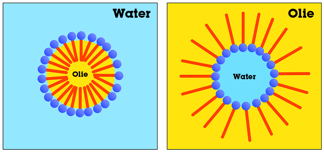 Hydrofiel en Hydrofoob: Wat is Het Verschil? (Uitleg) - Hoe Weet Je Of Een Stof Hydrofiel Of Hydrofoob Is