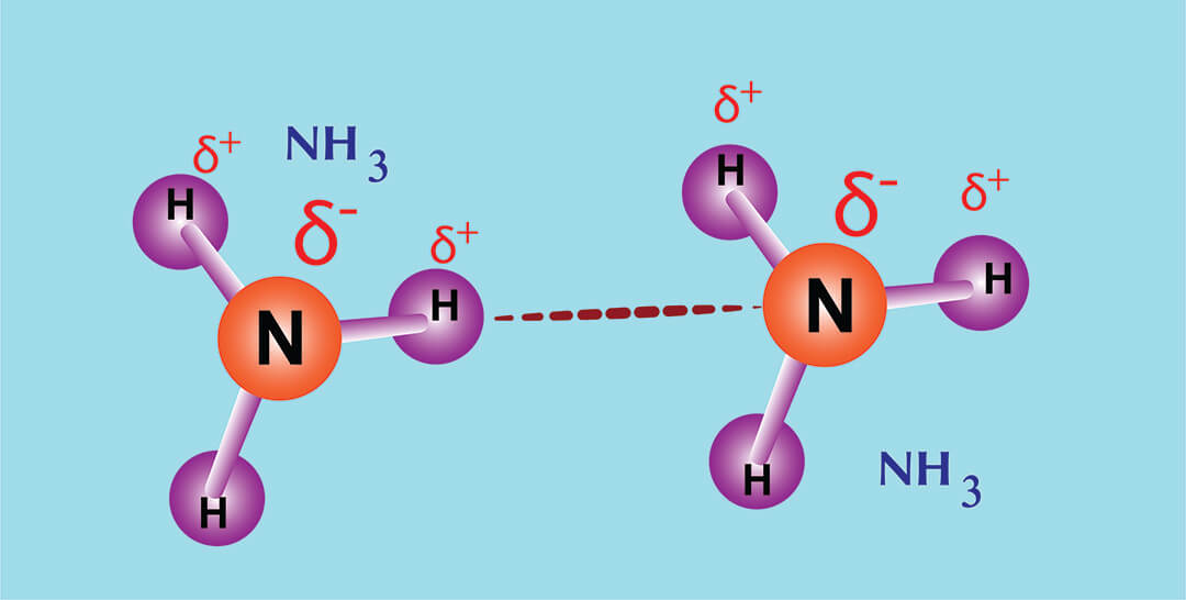 Hydrofiel en Hydrofoob: Wat is Het Verschil? (Uitleg) - Hoe Weet Je Of Een Stof Hydrofiel Of Hydrofoob Is