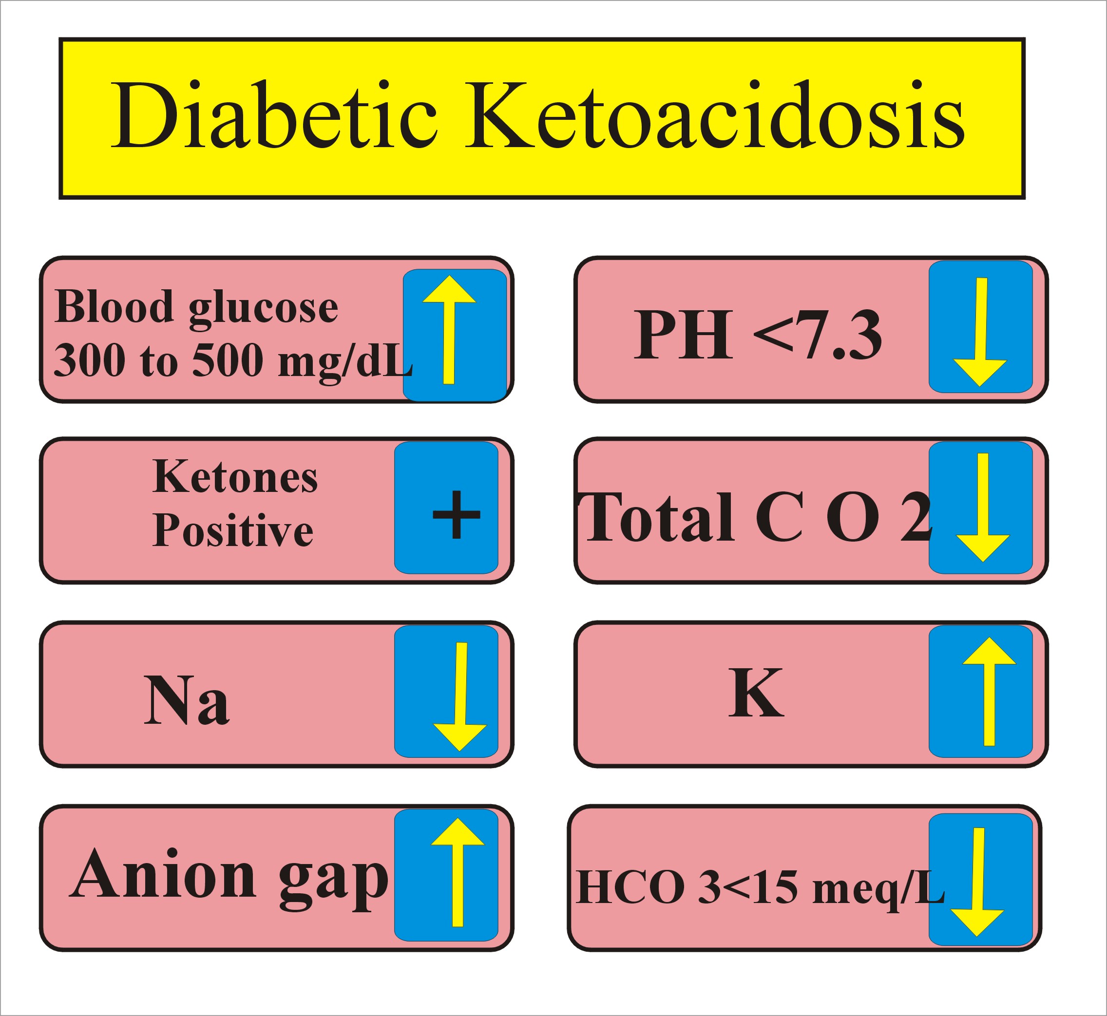 Hyperglycemic Crises: Diabetic Ketoacidosis And, 51% OFF - Ketoacidose Bij Diabetes Type 2