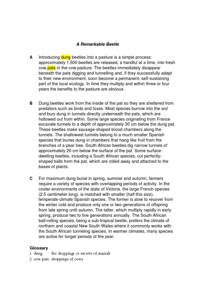 IB ENGLISH Reading Text (DAY 1) | PDF | Beetle - Ib English Paper 1 Sample