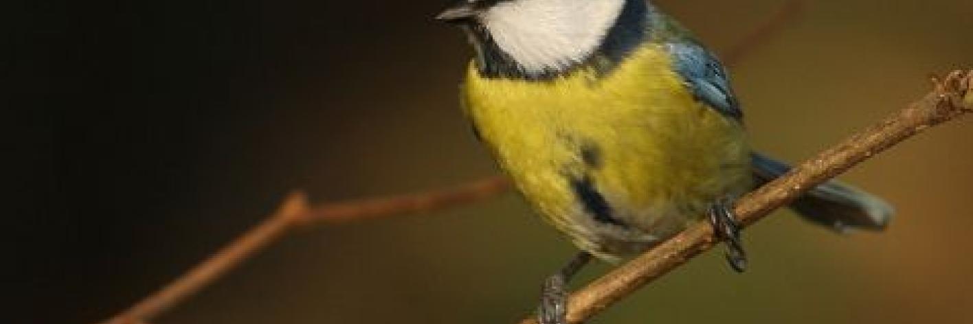 Ieder huisje heeft zijn kruisje | Natuurpunt - Ieder Huisje Heeft Zijn Kruisje