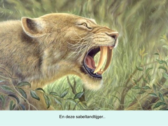 Ijstijd - Hoe Heet De Sabeltandtijger In Ice Age
