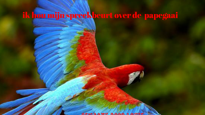 Boek Over Papegaaien Wat Een Geknoei