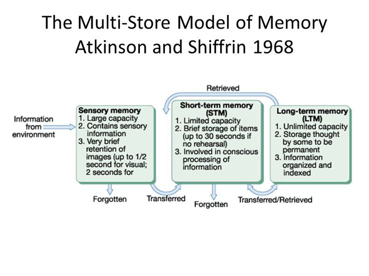 Atkinson And Shiffrin Model Of Memory