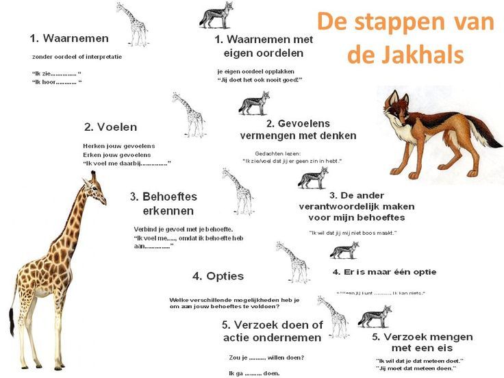 Image result for geweldloze communicatie giraf en jakhals - Geweldloze Communicatie Van Marshall Rosenberg