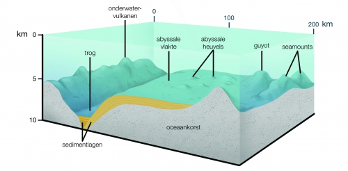 Hoe Diep Ligt De Oceaanbodem In De Atacamatrog