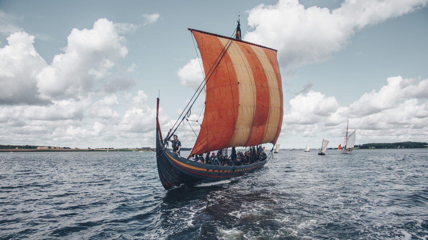 In de sporen van de Vikingen | Ontdek het Fjordland & Roskilde - Wat Bevond Zich Op De Boegpunt Van Vikingschepen