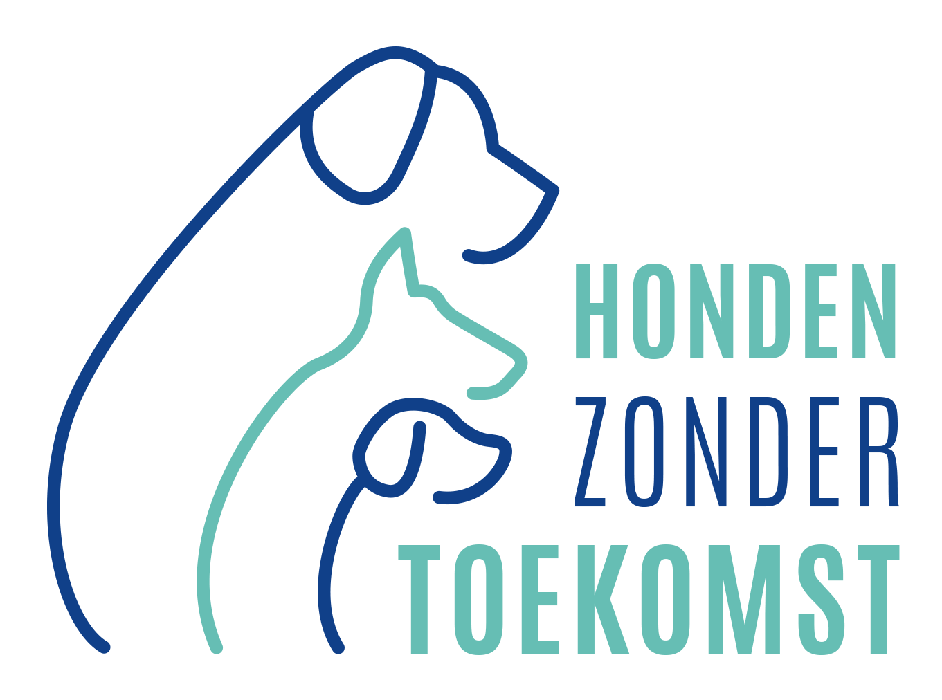 In Memoriam Cassie, voorheen Azul - Honden Zonder Toekomst - Kleedgeld Zonder Schoenen En Jassen