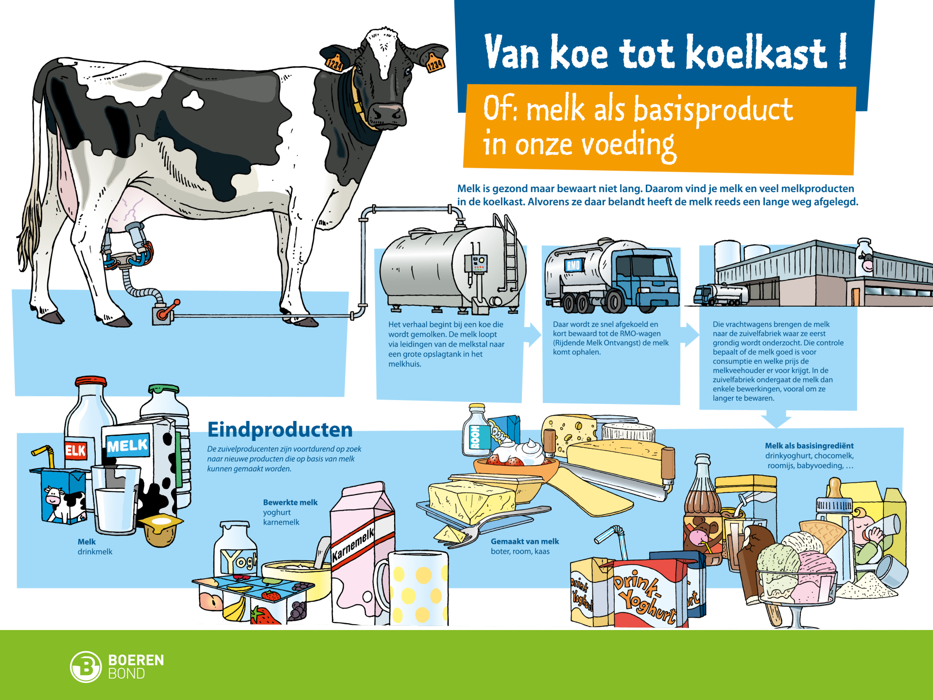 Infoborden, leren je alles over landbouw | Boerenbond - Hoeveel Kg Moet Elke Poot Van De Koe Kunnen Dragen