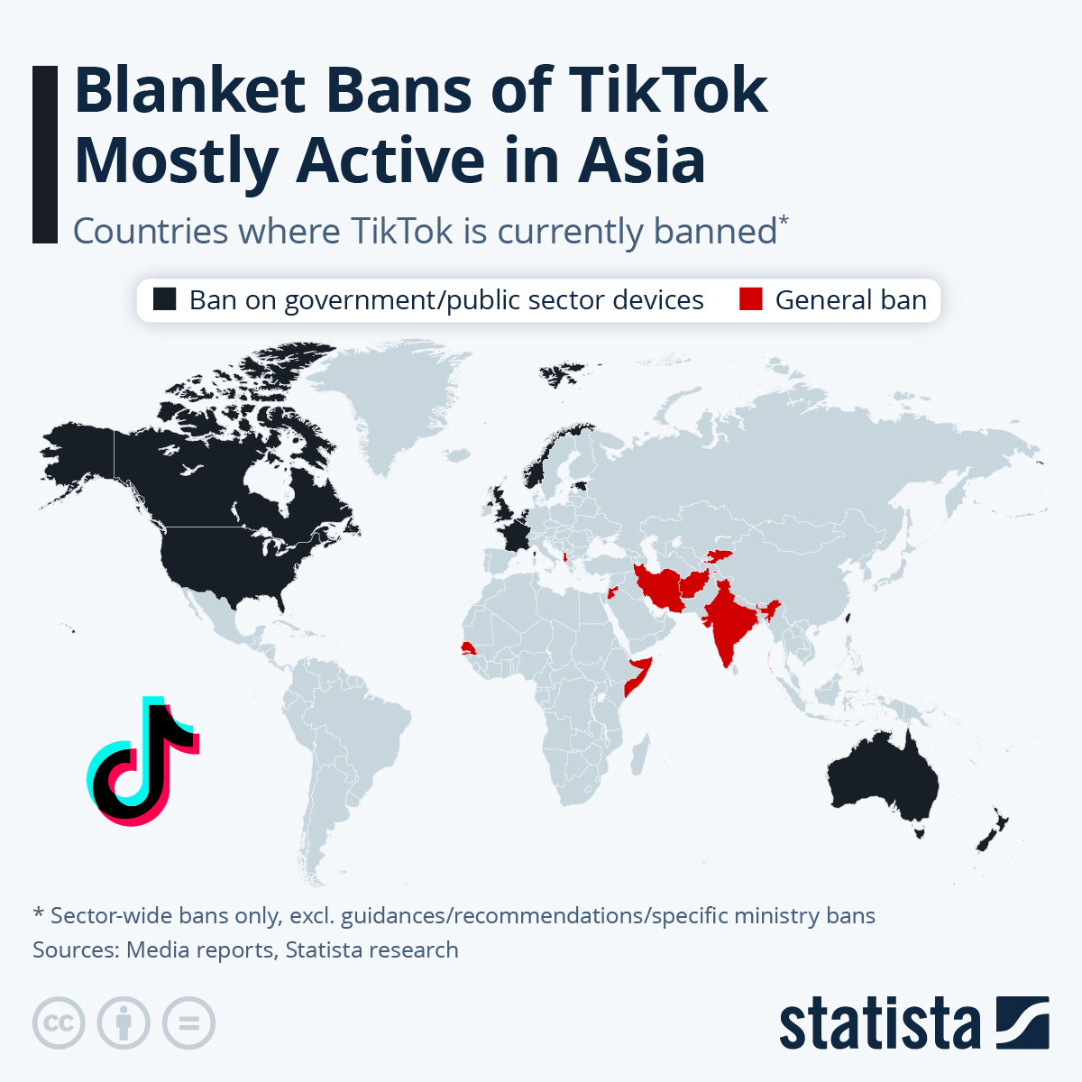 Infographic: TikTok Bans: Security Concerns or Sinophobia? - Wordt Tiktok Verboden In Nederland