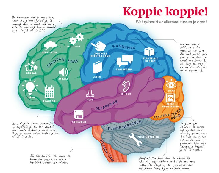 Infographic van richard@axioma.nl over de werking van de hersenen voor - Wat Doet Muziek Met Je Hersenen