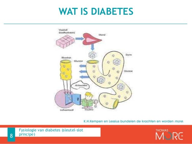 Inleidende aspecten diabetes - Welke Insuline Vorm Wordt Direct Opgenomen In Het Lichaam