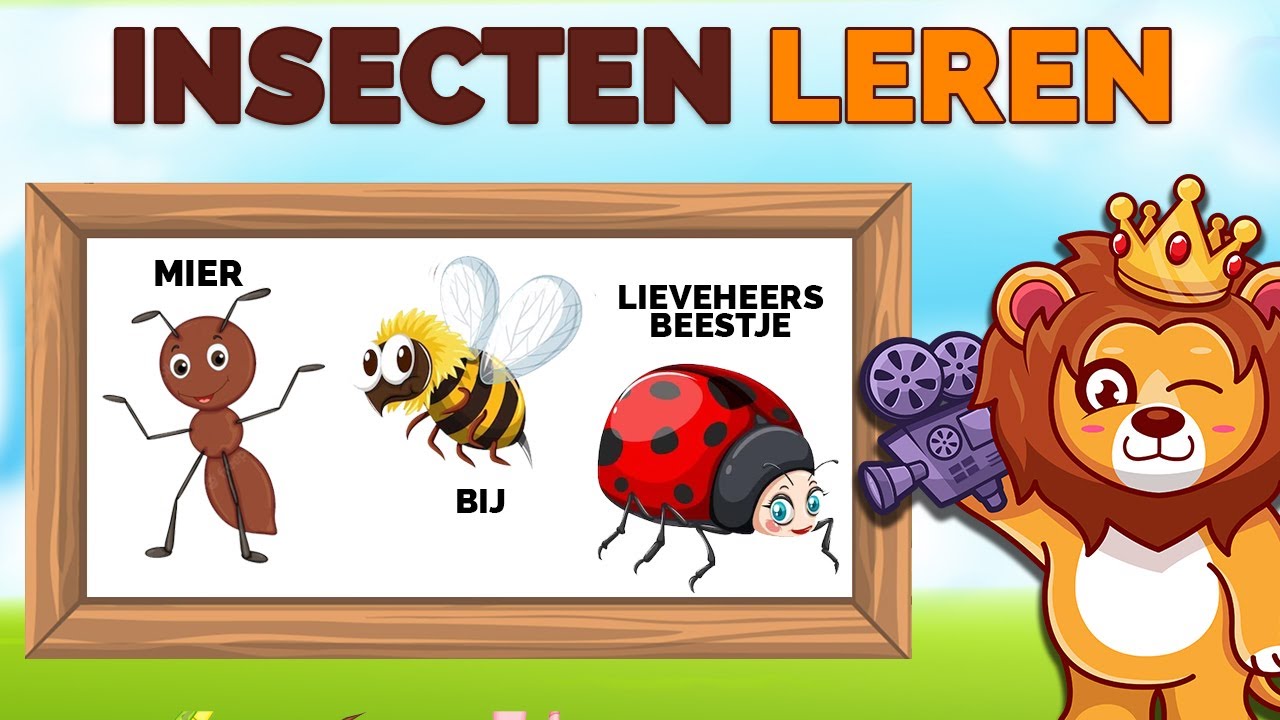 Insecten Leren Nederlands 🐛🐞 | Insecten Kinderfilmpjes | NL Gesproken - Deze Insecten Staan Bekend Om Hun Vermogen Te Kunnen Zingen