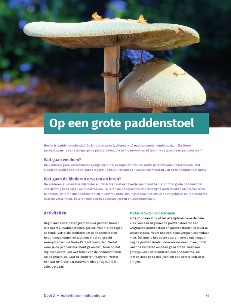 Inspiratiemap Onderzoekend en Ontwerpend Leren Voor de Midden en - Onderzoekend En Ontwerpend Leren Bij Natuur En Techniek