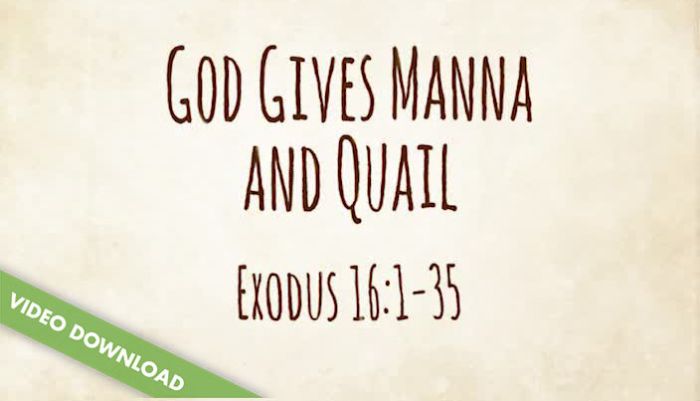 Manna Exodus 16 1-35