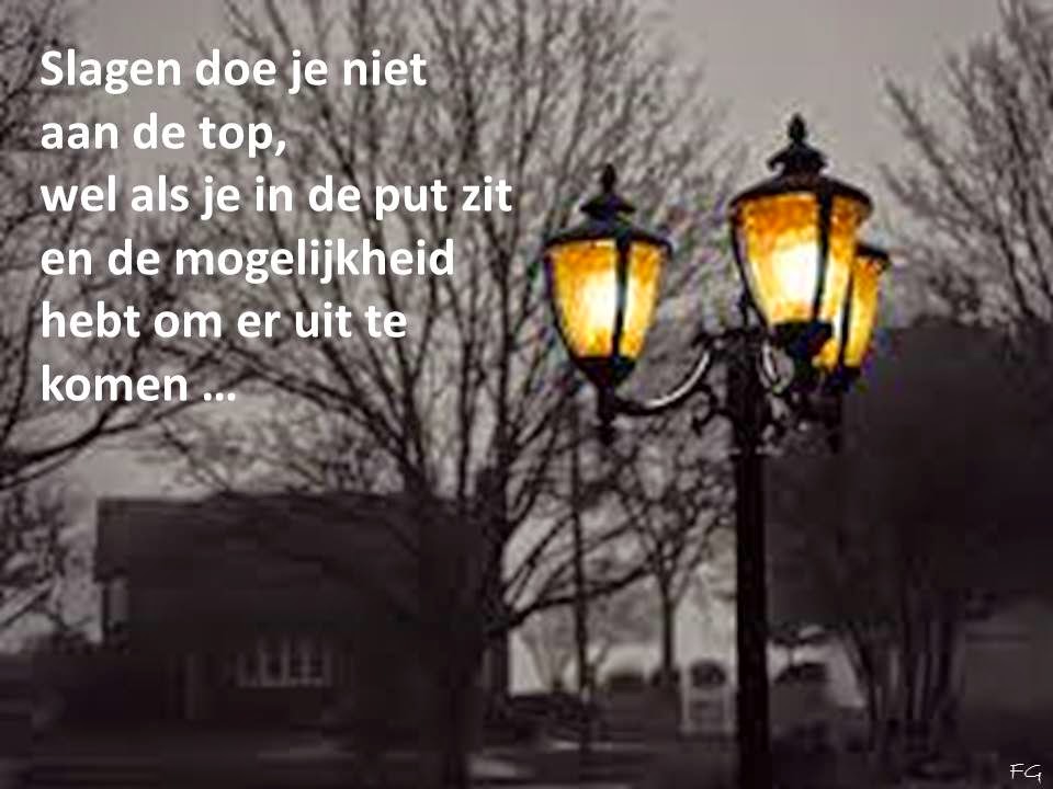 Door Het Bos De Bomen Niet Meer Zien