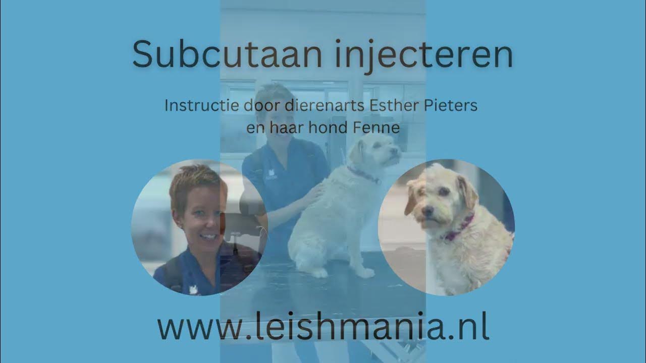 Meest Gebruikte Techniek Subcutaan Injecteren