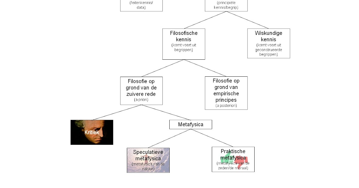 Intellectuele vrijplaats: Kritiek van de zuivere rede. Deel B. - Kritiek Van De Zuivere Rede