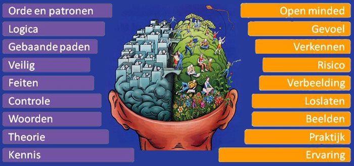 Interpretatie en perspectief | Rechterhersenhelft, Hersenen, Uitdrukkingen - Verschil Linker En Rechter Hersenhelft