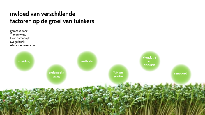 invloed van verschillende factoren op de groei van tuinkers by - Hoe Snel Groeit Een Poliep Galblaas