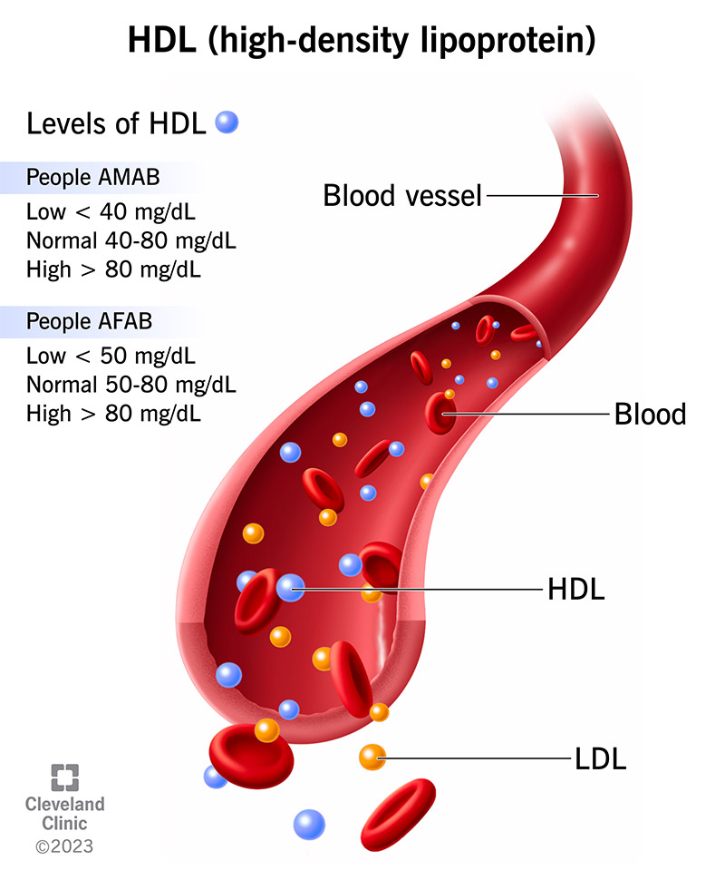 Ipcisco Cisco (Viptela) SD-WAN Architecture And #sdwan, 53% OFF - Ldl Cholesterol Hdl Cholesterol Ratio
