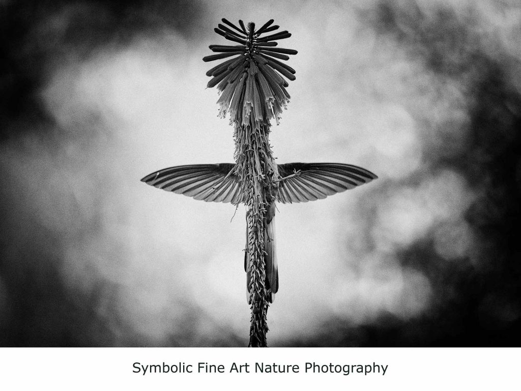 Jan van der Greef nature photography - Jan Leef Van De Geef