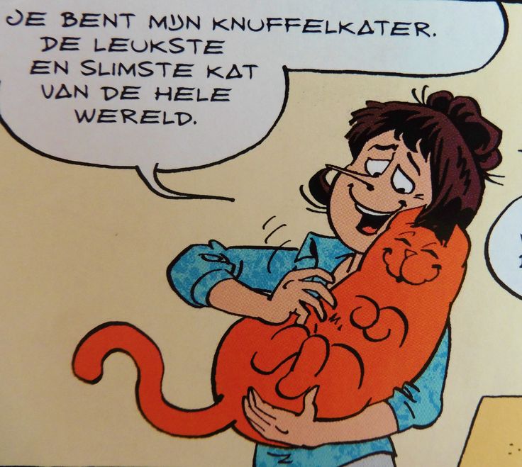 Jan Jans En De Kinderen Kat